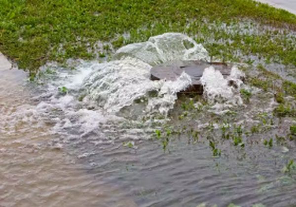 马来西亚思特雅大学是不是野鸡大学？辟谣分析