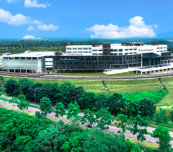 思特雅大学的本科选修课
