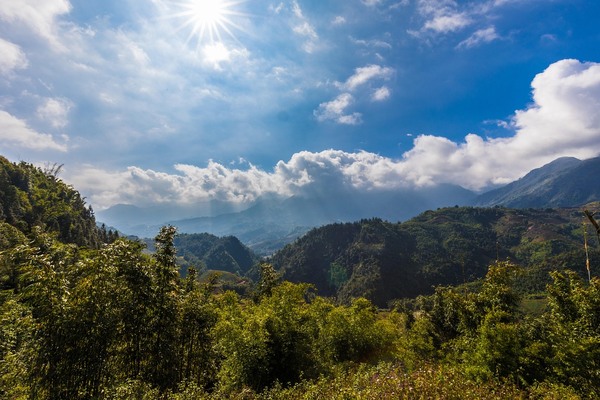 马来西亚思特雅大学医学与生命科学课程怎么匹配背景