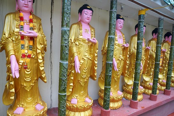 没有雅思申请思特雅大学硕士及研究计划准备时机